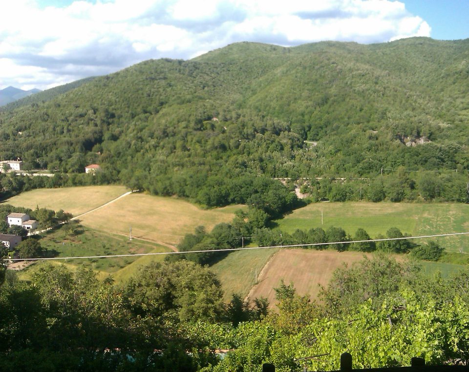 YoMonteolivo's tweet photo. #umbria @DPetersSpello @ValleSchut @fliss59 @bowmoreyes @olioterrerosse #startwritingagain https://t.co/HLb2aFZnc1