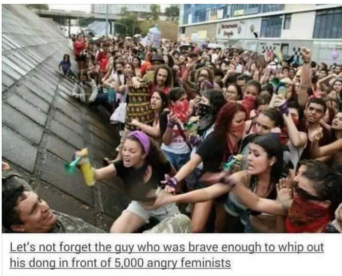 MeninistTweet tweet picture