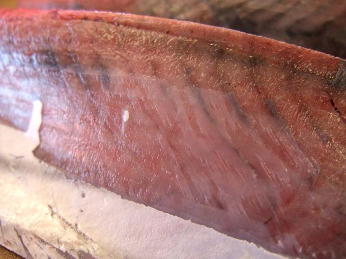 土佐の魚屋 鮮魚山もと Tosa Sakanaya 16年03月 Twilog 土佐の魚屋 鮮魚山もと Tosa Sakanaya 16年03月 Twilog