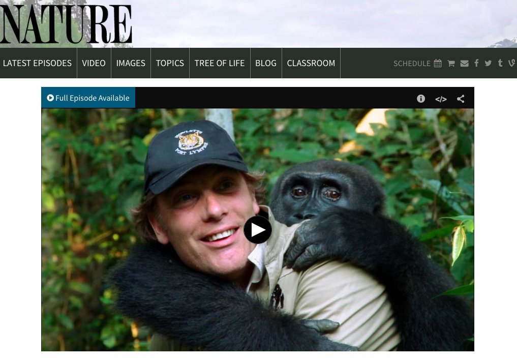 tarynoneill's tweet photo. Watching 'Wild Animal Reunions' on @PBSNature and trying not to tear up. #alosingbattle https://t.co/EA09qXQwZD https://t.co/ifgCewOmv9