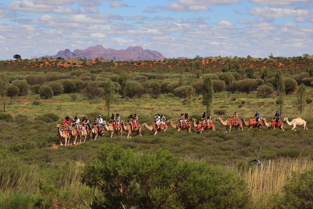 Green-Red Centre! Lovely rain over the passed few months, stand-by for wild flowers! @AusOutbackNT <a href="/VisitCentralAus/">Visit Central Aus</a>