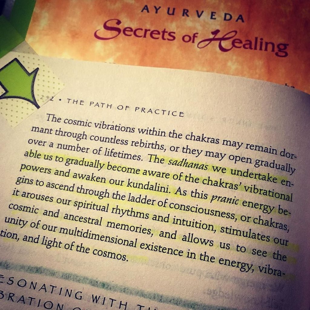 jasmine_grace's tweet photo. The Path of Practice by Bri. Maya Tiwari #prana #chakras #ayurveda #jyoti #practiceandalli… https://t.co/JFyKQWGuY1 https://t.co/NQ9JLZDmSP