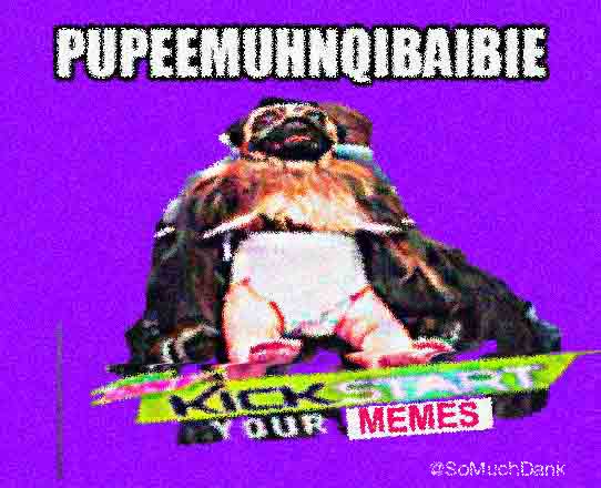 SoMuchDank's tweet photo. #PuppyMonkeyBaby #Origional #CoolestMeme #BuySodaPls #YourDentistIsALiar #Good4U @MountainDew @tacobell @truthorange https://t.co/HszKLNm6T3