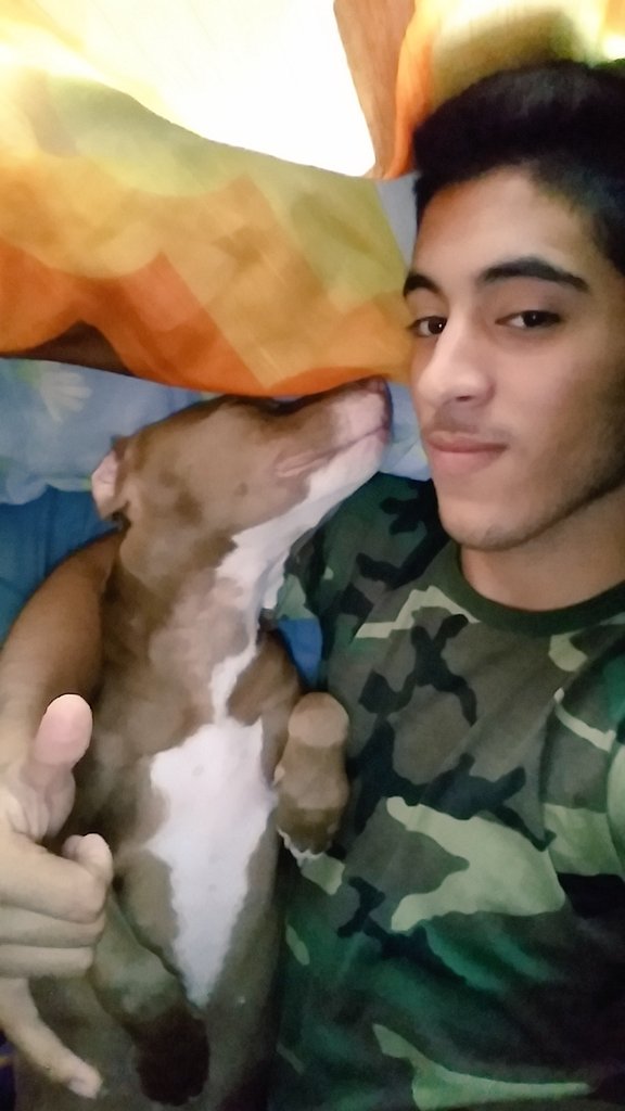 BaioccoFacundo's tweet photo. La perra de mi tio😍❤❤❤ abrazo la perra estoy durmiendo la cama que dulce me ama la perra https://t.co/YkepnaXuVo