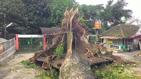 X54 Management tweet media