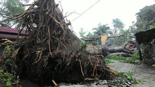 X54 Management tweet media