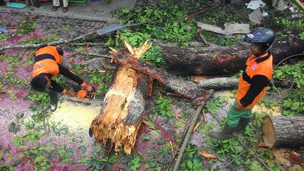 X54 Management tweet media