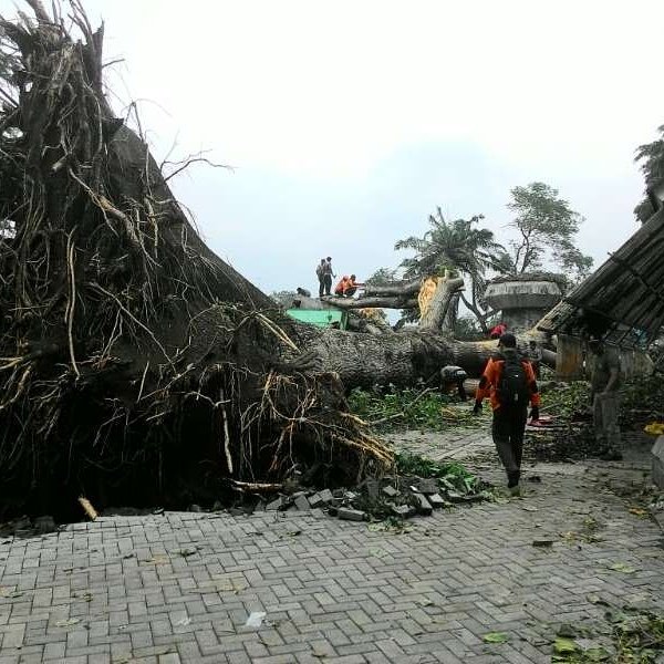 X54 Management tweet media