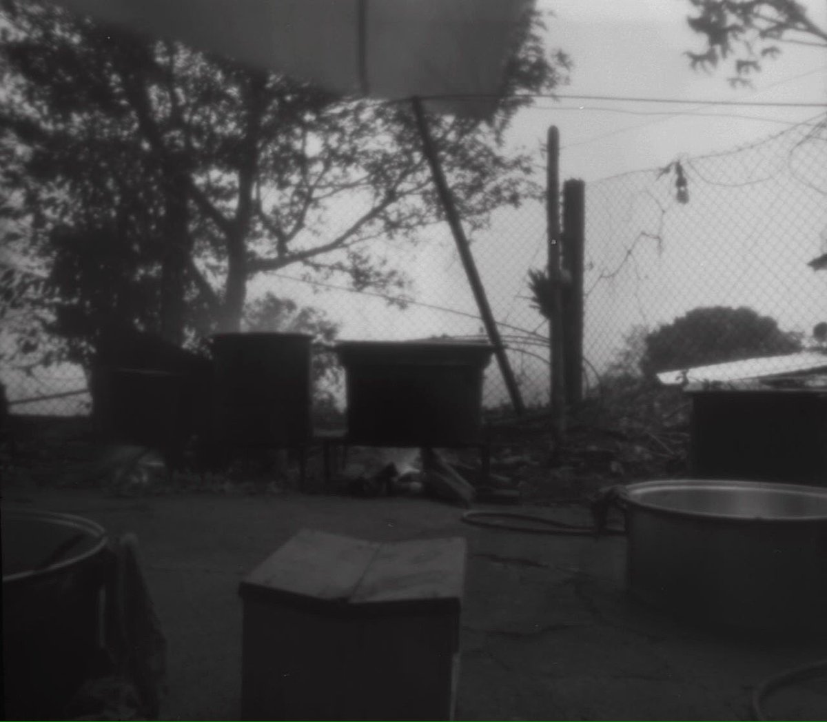 ReginaMejia7's tweet photo. Esos sitios donde la neblina abraza... #TaleadeCastro #fotografíaestenopeica #OaxacaEstenopeica #filmisnotdead https://t.co/5PjaRxQnPO