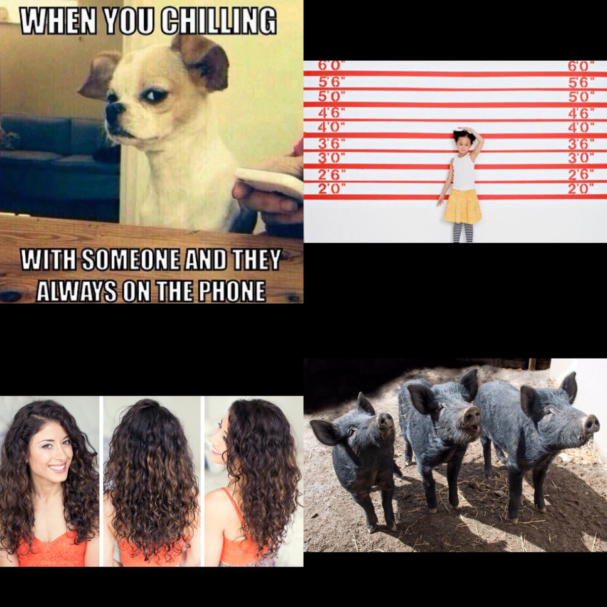 jp_starterpack's tweet image. @kenziesantanna