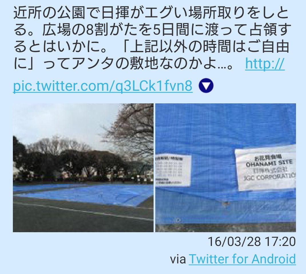 Nao Yama 日揮株式会社 お花見のために横浜市掃部山公園を占拠ス 花見どころの8割方をブルーシートで埋め尽くす 日揮 Jgc 花見 花見場所取り T Co Besezxphcr T Co 3wsuu0dp9v Twitter Nao Yama 日揮株式会社 お花見のために横浜市掃部山公園を占拠ス 花見どころの8割方をブルーシートで埋め尽くす 日揮 Jgc 花見 花見場所取り T Co Besezxphcr T Co 3wsuu0dp9v Twitter