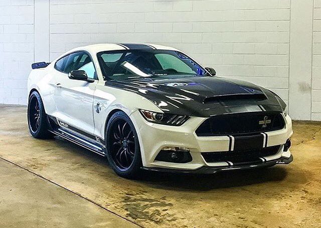 #Mustang