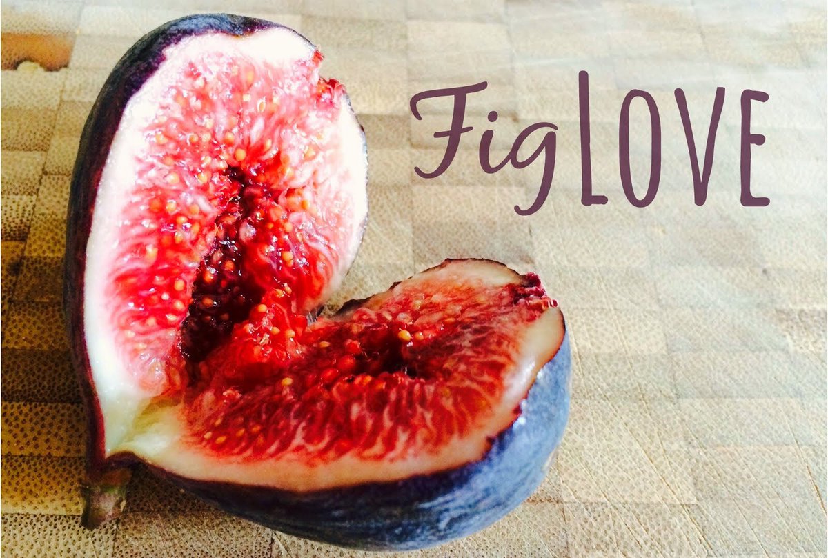 KarlTheFig's tweet photo. .@parkchalet Fig loves you! Fig loves The Outer Sunset too! https://t.co/KcpPwwUVPX