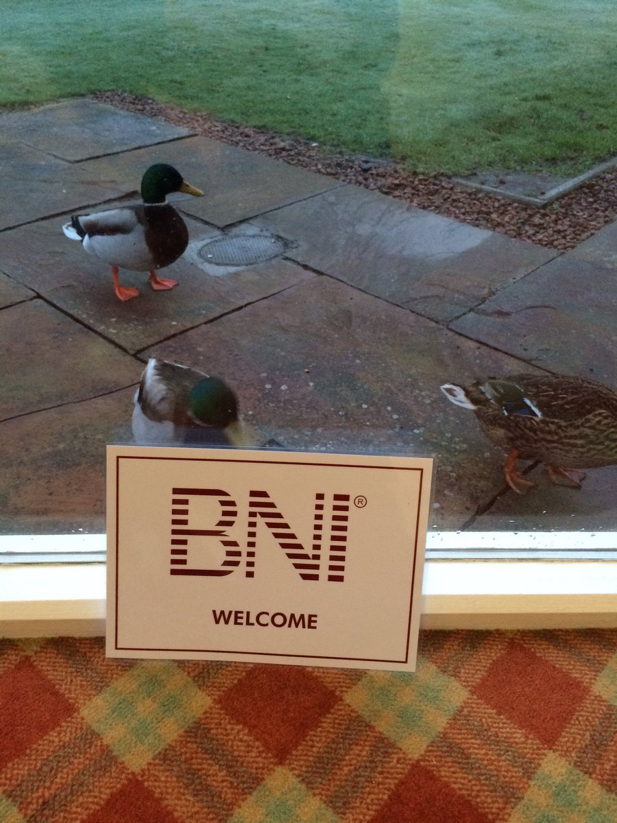 We have some 'quacking' visitors this morning! #networking #bni