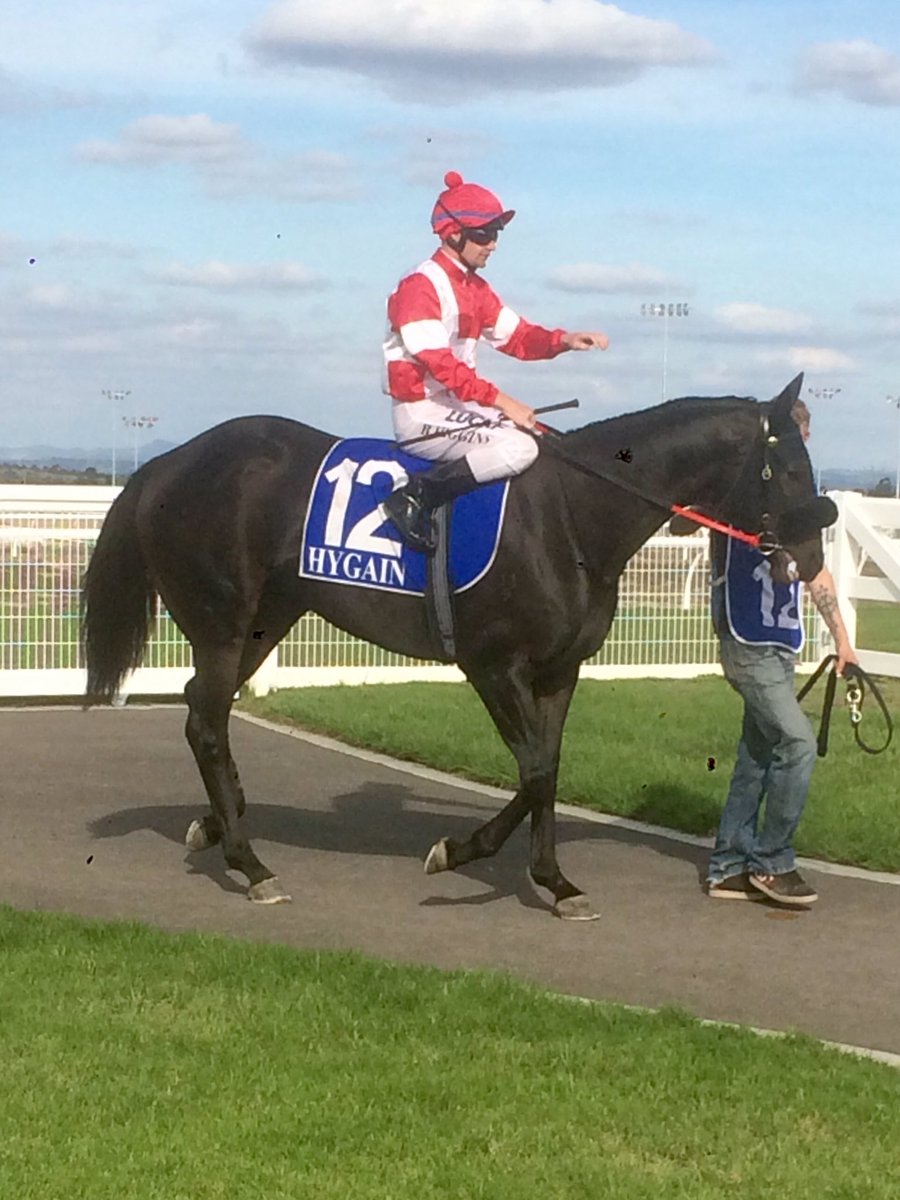 tjpracing's tweet photo. Maureen. Can she break that maiden status today ? Race 4 @PakenhamRacing @stelmo_racing @arrexalexxa #breakmaiden https://t.co/VdFO1VmCjl
