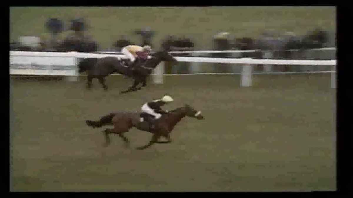 AnaglogsDaughtr's tweet photo. On this Day: 31st March 1973
The most Famous Grand National race was run 
Red Rum v Crisp &amp; @pitmacbooks https://t.co/MPtb14cjAG