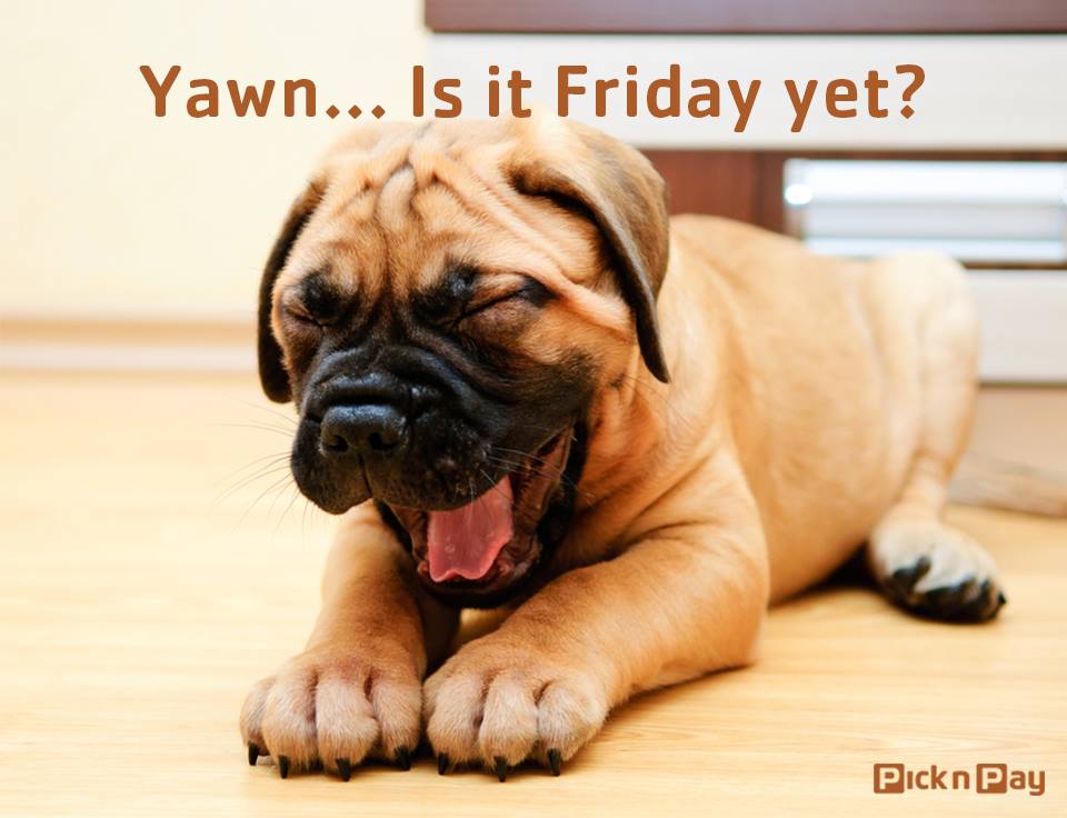 PicknPay's tweet photo. Hang in there everyone... It's ALMOST Friday! 💤 https://t.co/O9CwiLzL3Z