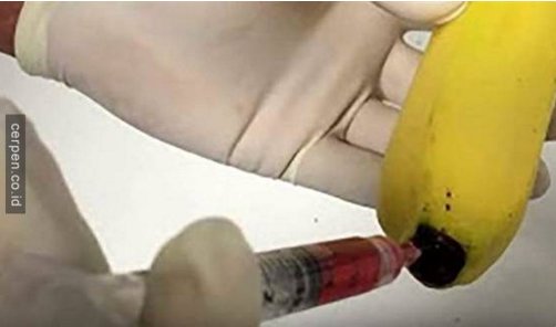 WorldOf_RPs's tweet photo. [!] INFO

hati-hati makan pisang yapp, baru2 ini ada kabar kalau ada pisang yg sengaja disuntikkan darah aids https://t.co/Ar9Z5pymWy