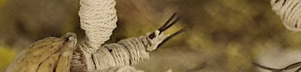 Did you know you can sleep for free at the festival? Where can you do that?? bit.ly/1MV0EoG