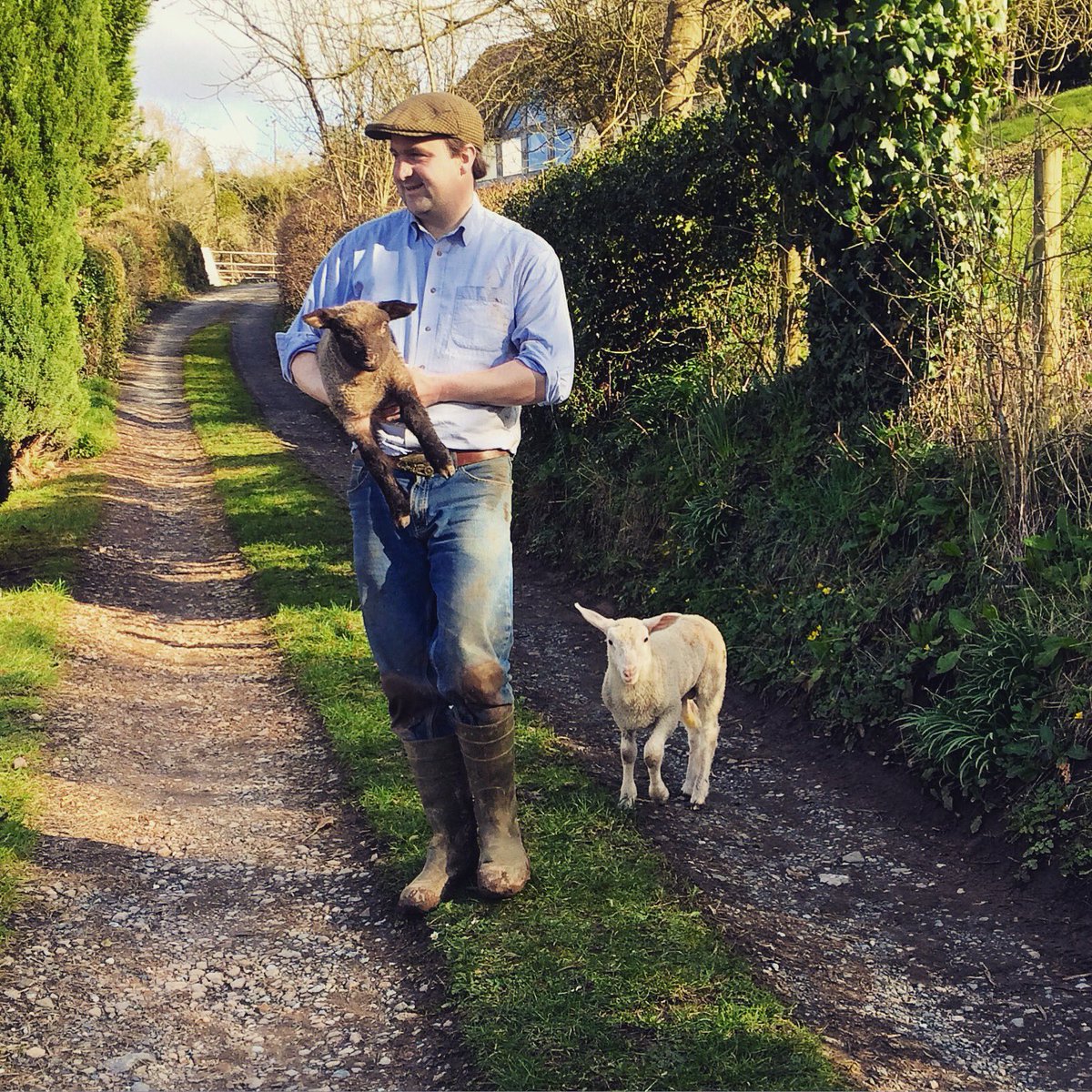 hancocks_meadow's tweet photo. Spring time walks with a few friends. #ballinghamhill #springlamb #springwalks #orphanlambs https://t.co/cUP3Z8Q0B8