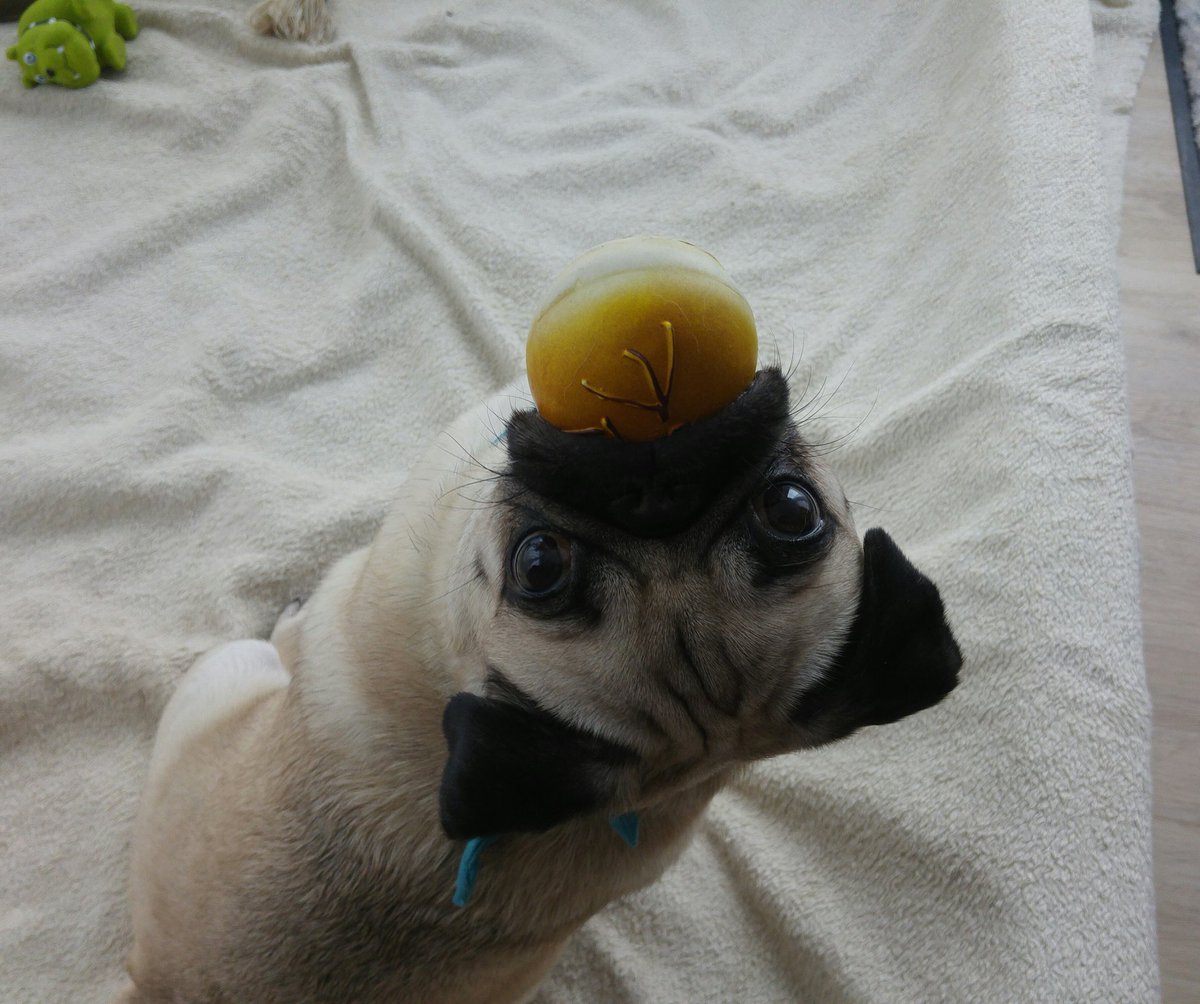 Zombey's tweet image. Sehr elegant, Gonzo!