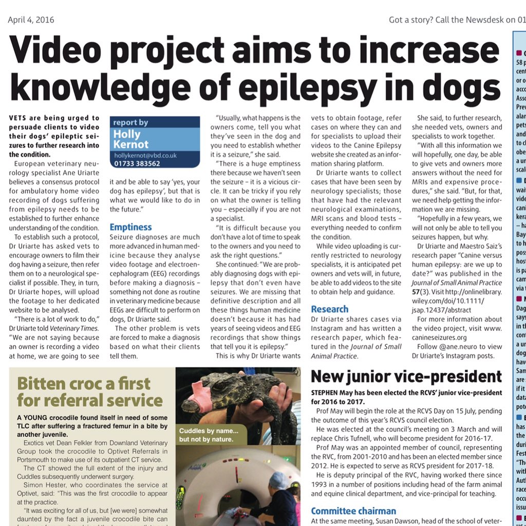 aneNeuro's tweet photo. Featured on #vettimes #epilepsyawareness #seizures https://t.co/FF2GGqcQ6i