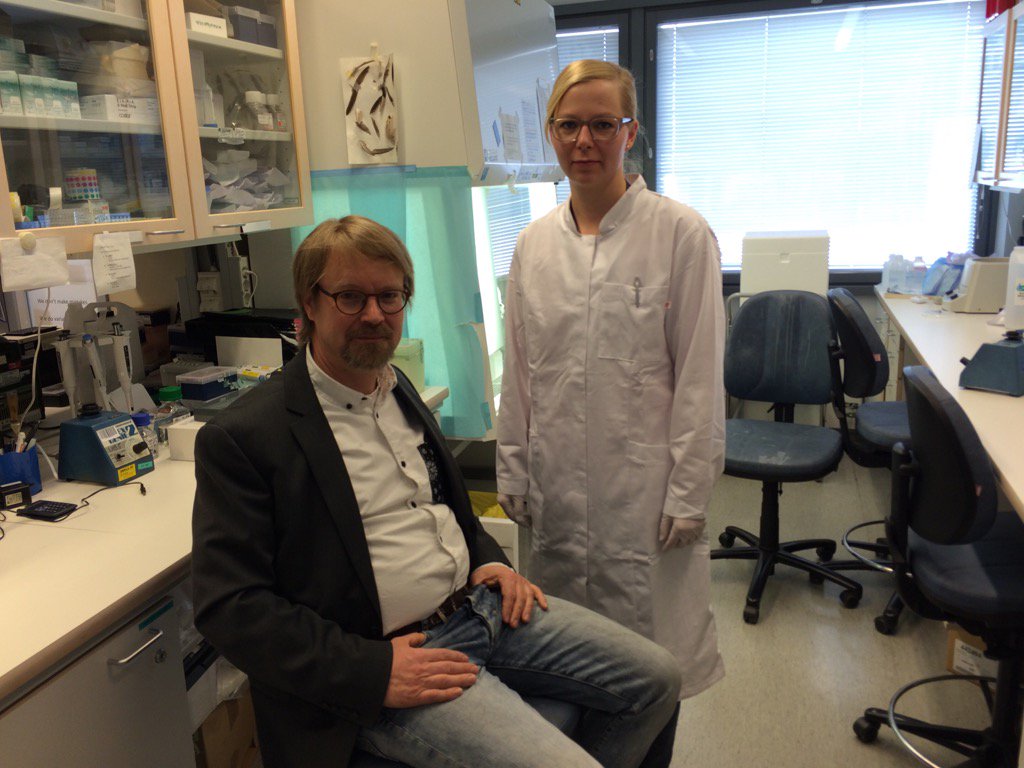 Cheap Sushi Buffet (chpsushibuffet) Twitter