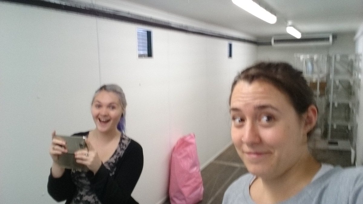 anchorage40's tweet photo. Our new home for the summer. A very hot box #newlabspace @Jess_Goodman13 @dcoppl https://t.co/a9uS1BEWuX