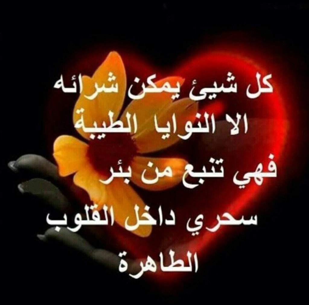 lesandro8's tweet photo. https://t.co/bDyzMshFTq