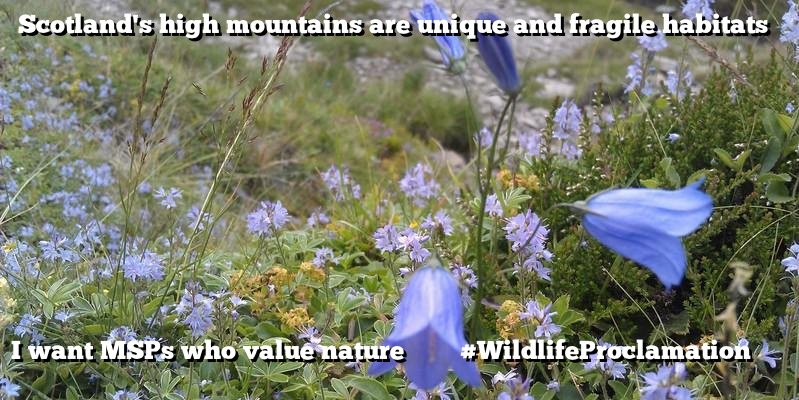 We want our politicians to do all they can to help conserve &amp; celebrate our amazing plant heritage #SP16 <a href="/ScotLINK/">Scottish Environment LINK</a>