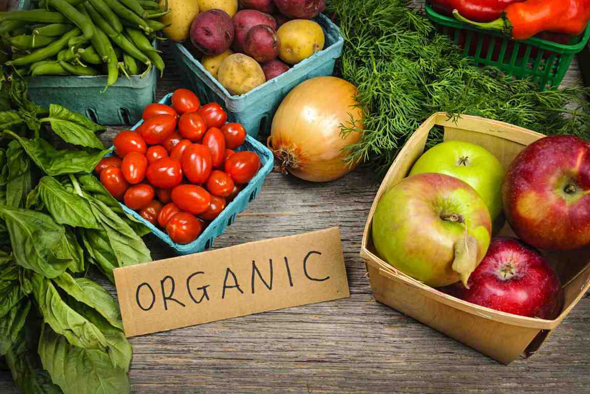ScienceOCoffee's tweet photo. Can organic farms feed the world? Find out in our latest video: https://t.co/OvnsprQR6j https://t.co/w7HVn5FOzA