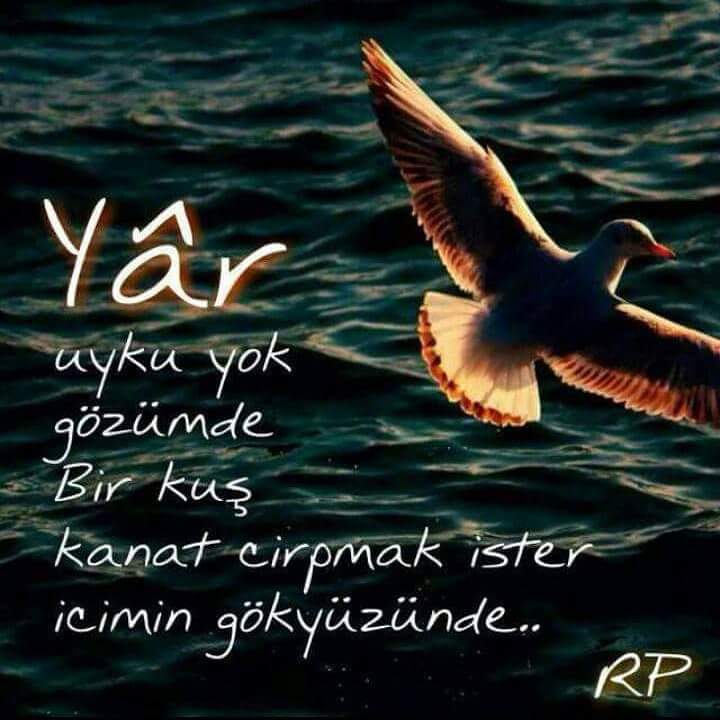 seravasar's tweet photo. #WeHaveErdoganTheyDont https://t.co/5py5Dnsn0P