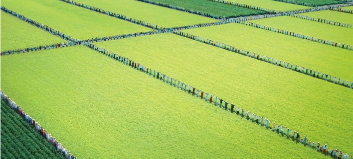 Check out the latest ICAO newsletter to learn all about what's new in agricultural coops! icao.coop/sub5/sub1.php?…