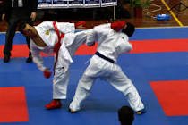 lioguazzini's tweet photo. #Karate #CampionatoItalianoAssolutoKumite #Ostia #PalaPellicone #Filjkam oggi su #RaiSport1 ore 15.00 https://t.co/FRV7w9nVcw