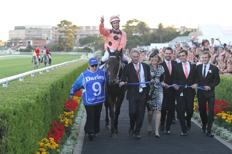 aus_turf_club's tweet photo. #TBT we can't go past one of THE best, the unbeaten Black Caviar winning her finale 2013 @DarleyStallions TJ Smith https://t.co/JJ9LC8nDyF