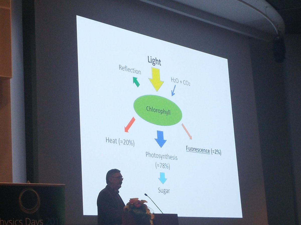 hakala_mo's tweet photo. Mapping vegetation fluorescence to detect photosynthetic activity. Talk by E. Herrala at #PhysicsDays2016 @UniOulu https://t.co/G3QthnM91S