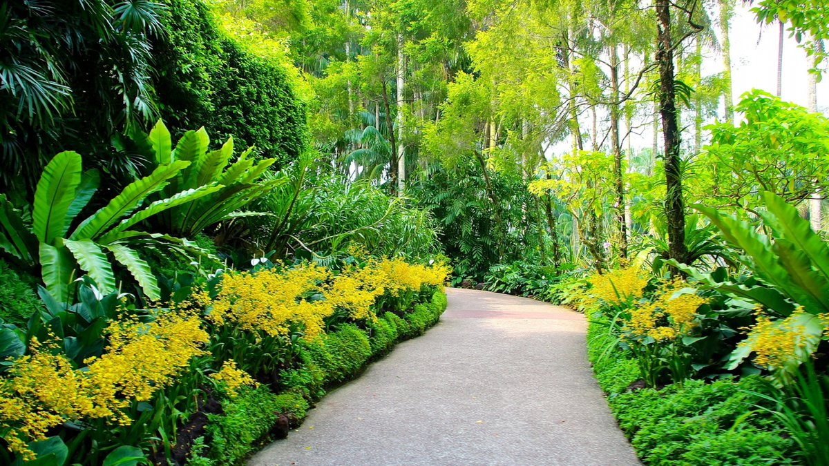 Myfamilyescapes Singapore Botanic Gardens By My Family Escapes Amourgroup T Co Ebyrhtqaf2