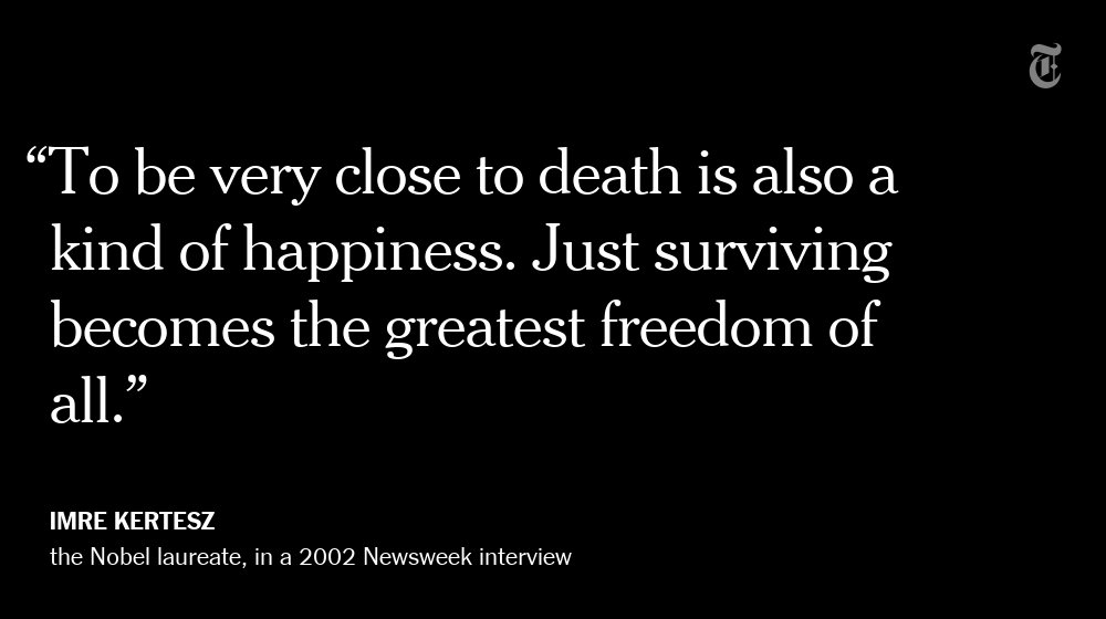 nytimes tweet picture