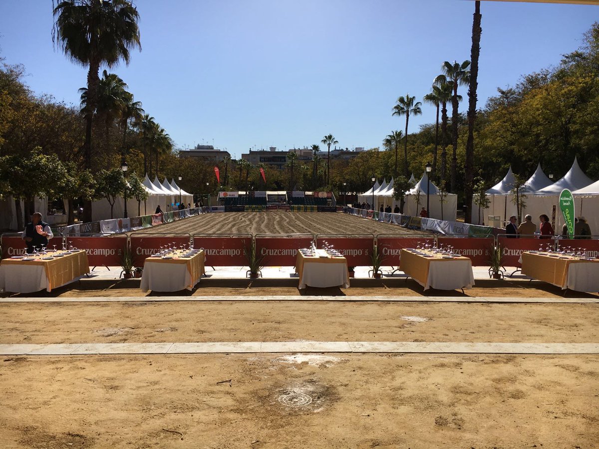 C_SERVA2017's tweet photo. Todo preparado en los Jardines del Prado. ¡Comienza @C_SERVA2016 ! ¡Os esperamos! 
#SERVA2016 #Caballos #PRE https://t.co/f83DoHBxNH