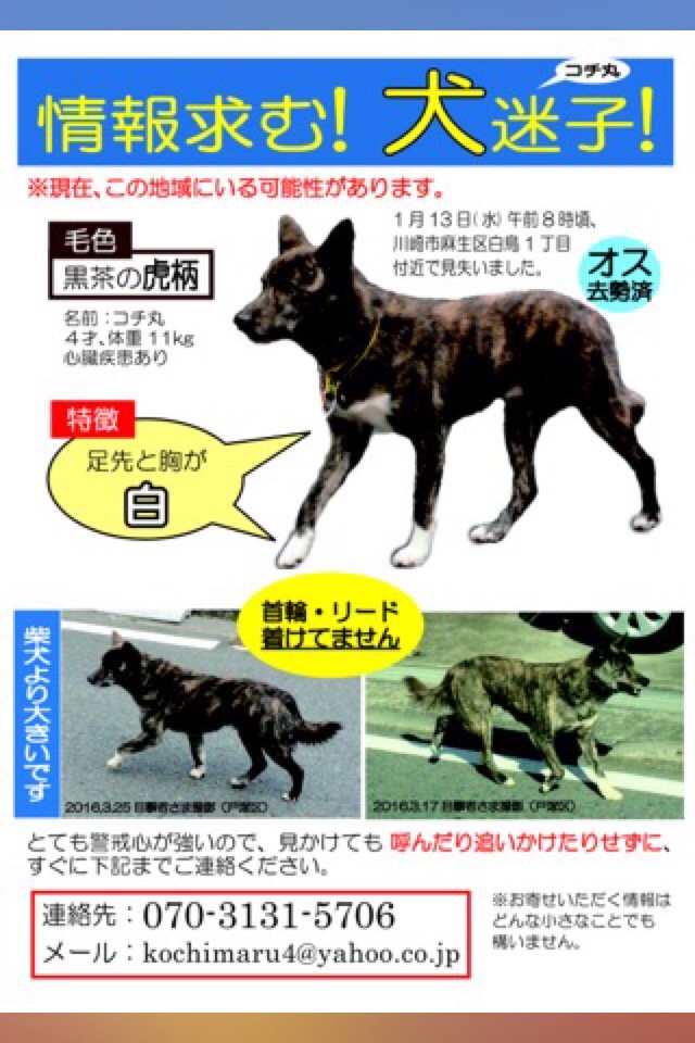 最も信頼できる こちまる様専用 - sociales.uprrp.edu