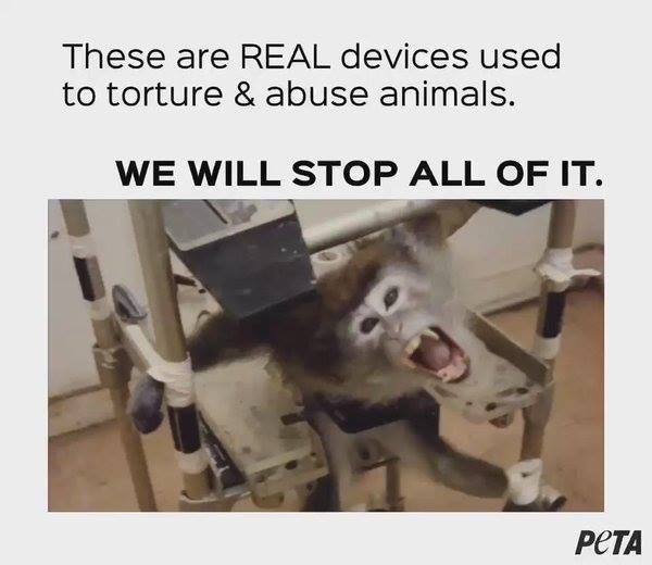 This is a restraint device to hold the victim still, whilst "procedures are performed" #BoycottCambridge