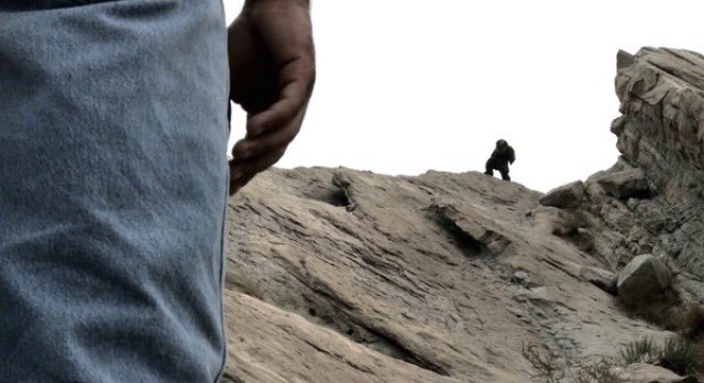 #Sasquatch #lostwoods #scary #scarymovie #action #actionmovie #fear #beast #skunkape #woods #forest #camping #trip