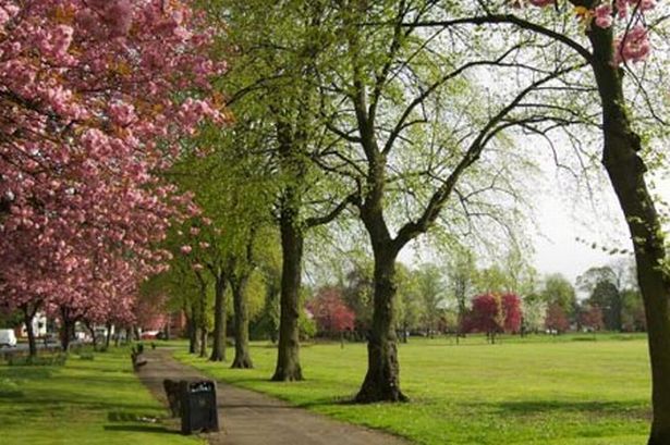 BCCNewsRoom's tweet photo. Visit your local park today - the perfect place to be active or just relax and de-stress https://t.co/FhbBEdZBzV https://t.co/XLp8xj2Ibs