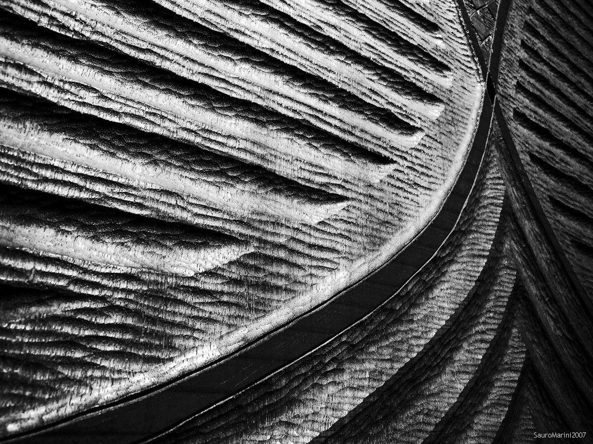 MuseoOmero's tweet image. &quot;Le mani modellano il sentimento&quot;
I &quot;Segni&quot; di #Sguanci, 
 #heritageMW #museumweek