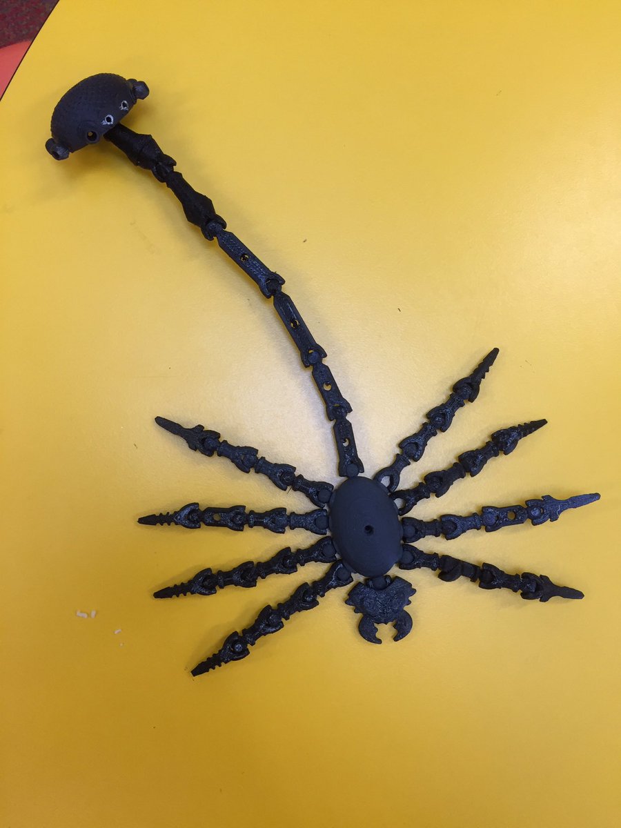SallyLowe17's tweet photo. So proud of my year 1 PBL projects! #tinkerplay #minibeast #3Dprinting https://t.co/bV5SiP0AQi