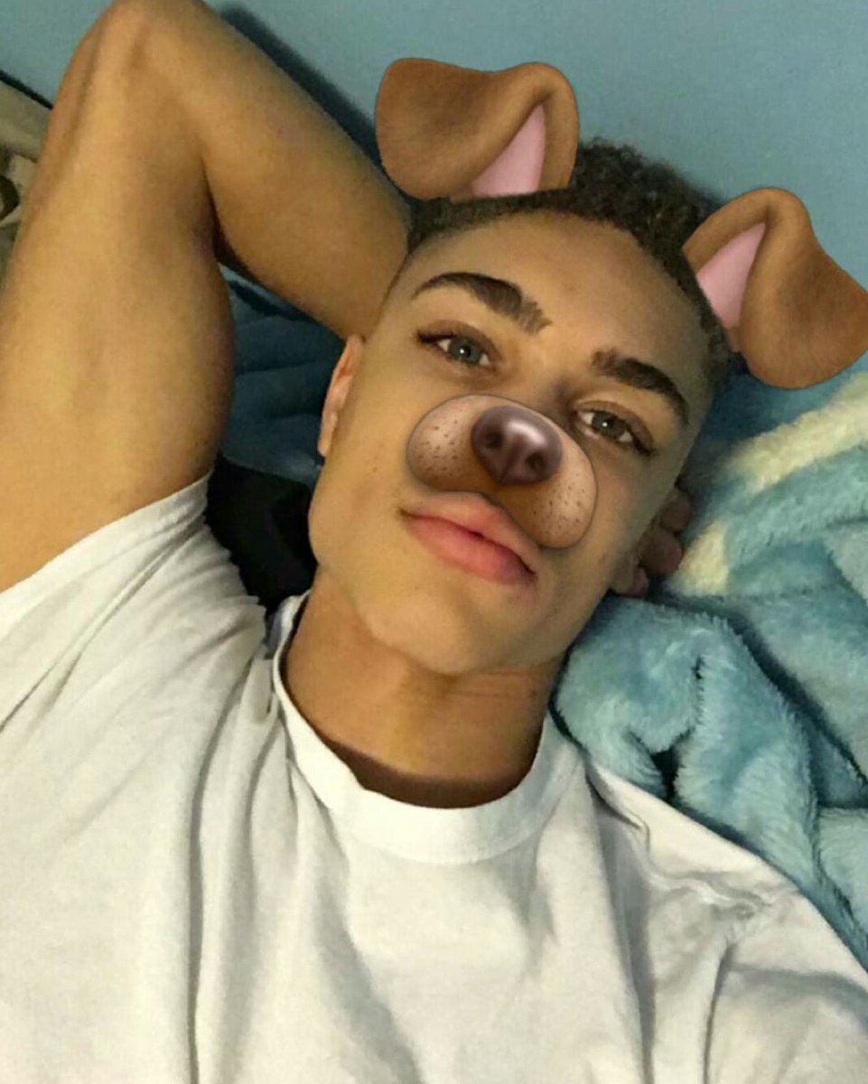alphavoided's tweet image. @brianhwhittaker Cutest dog ever (: 😍 Check out his snapchat - brownboybri 💓