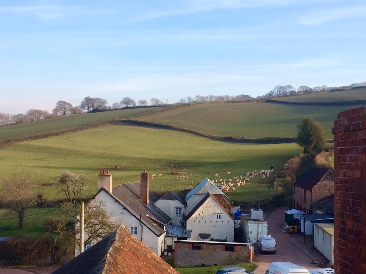 stylesicecream's tweet image. Aerial view of the #Icecream farm in the sunshine with feeding time for the sheep in the background! 😊🍦🐏