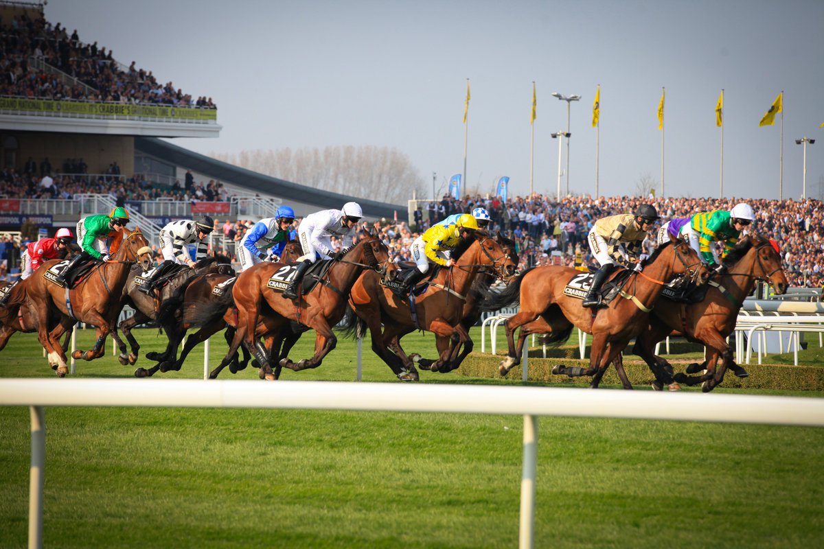 LpoolChamber's tweet photo. The countdown for the #GrandNational is on! Excited to join our 500 guests this time next week #pickyourwinners https://t.co/iZrJ8xSM3G