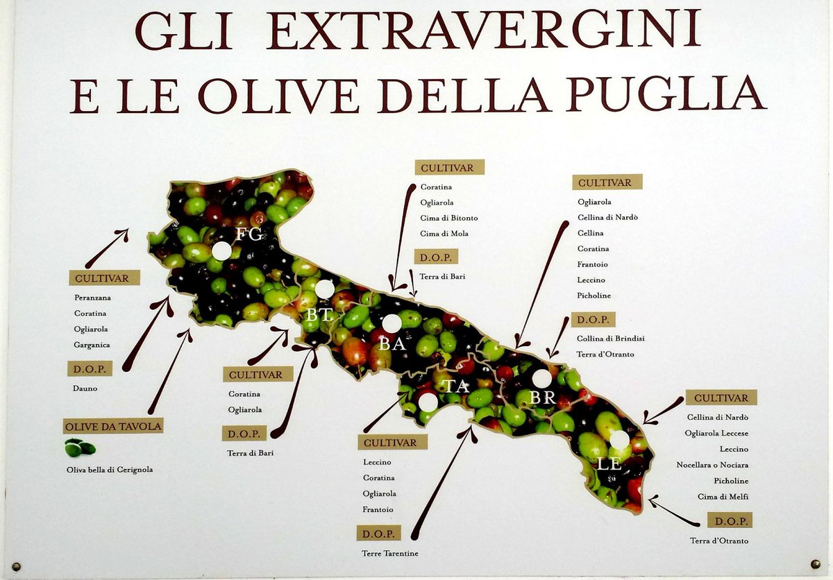 Questa immagine illustra le cultivar Pugliesi, che ne pensate voi Pugliesi e non?

Credit: (bit.ly/1SoL5ri)