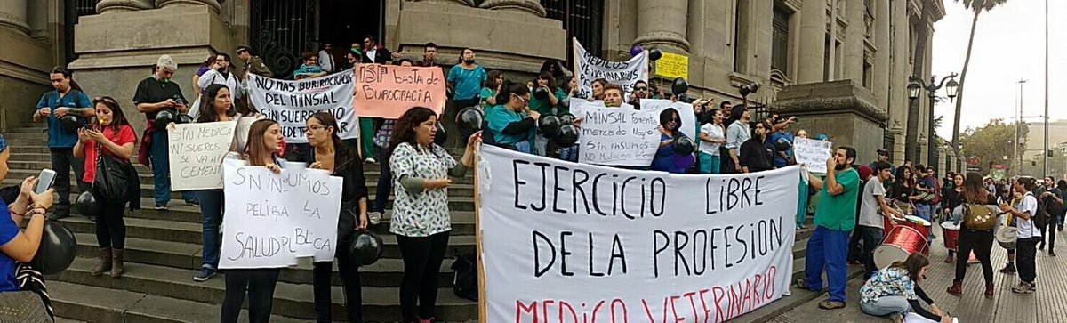 LaSanteAnimale's tweet photo. Médicos Veterinarios ❤️ Profesionales de La Salud AHORA !! @ministeriosalud @GobiernodeChile @biobio @adnradiochile https://t.co/569YaAWw52